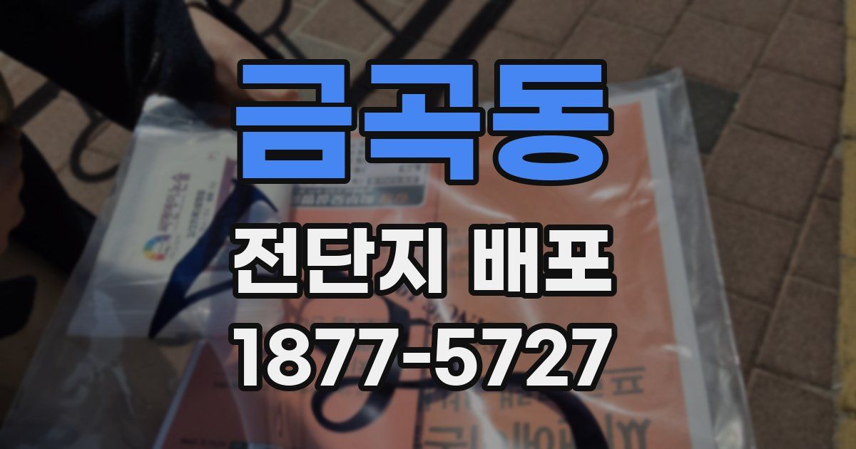 금곡동 전단지 배포