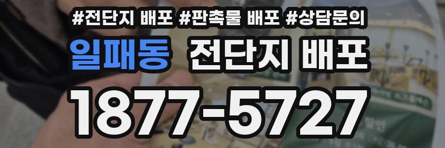 일패동 전단지 배포