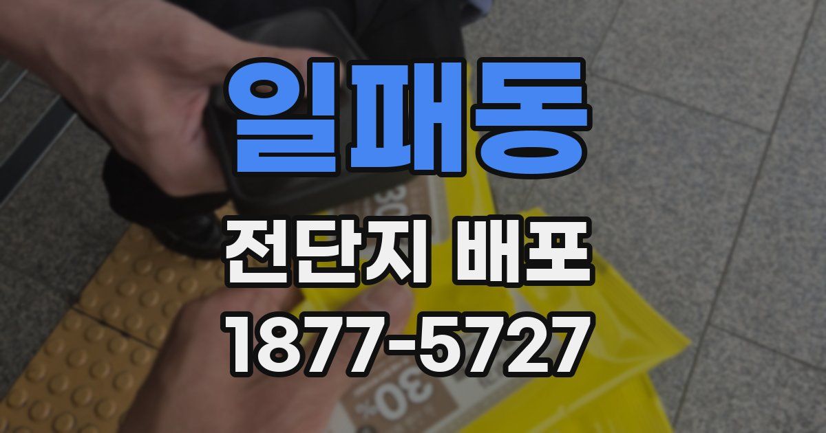 일패동 전단지 배포