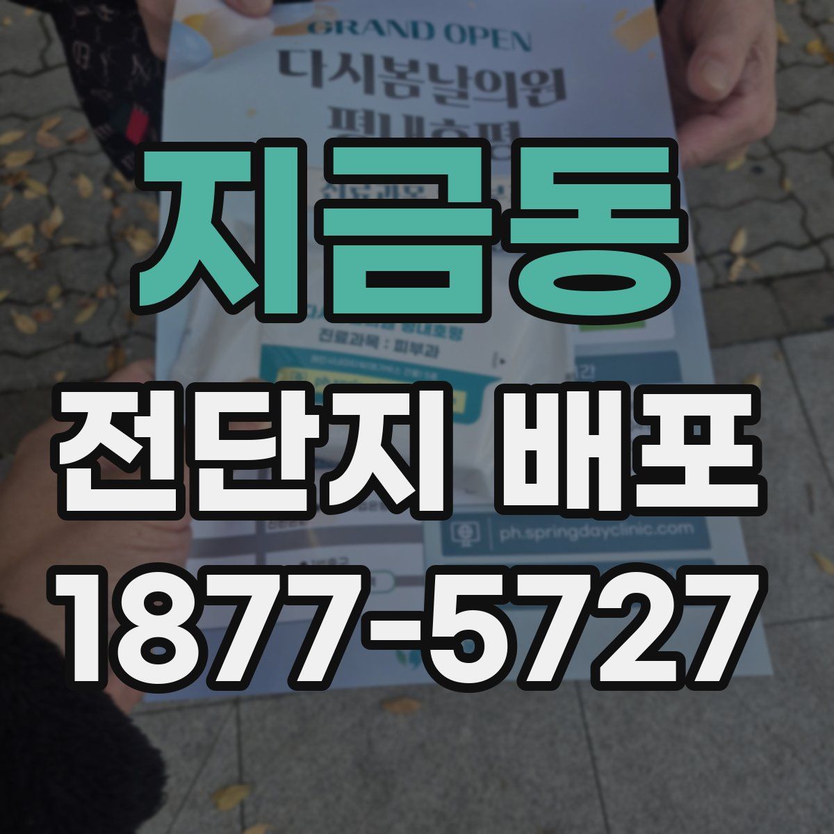 지금동 전단지 배포