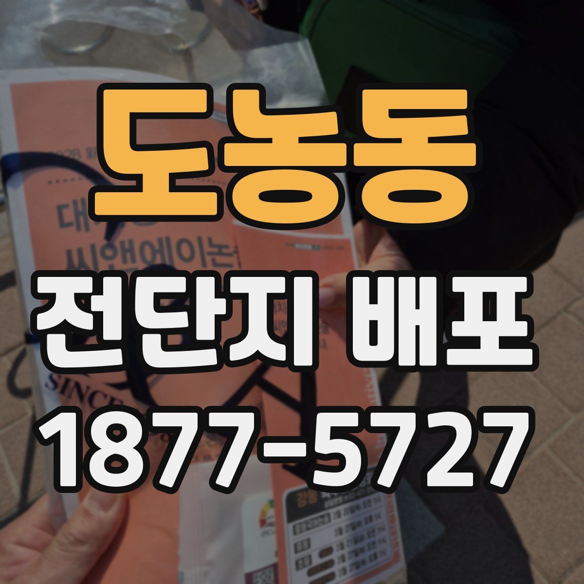 도농동 전단지 배포