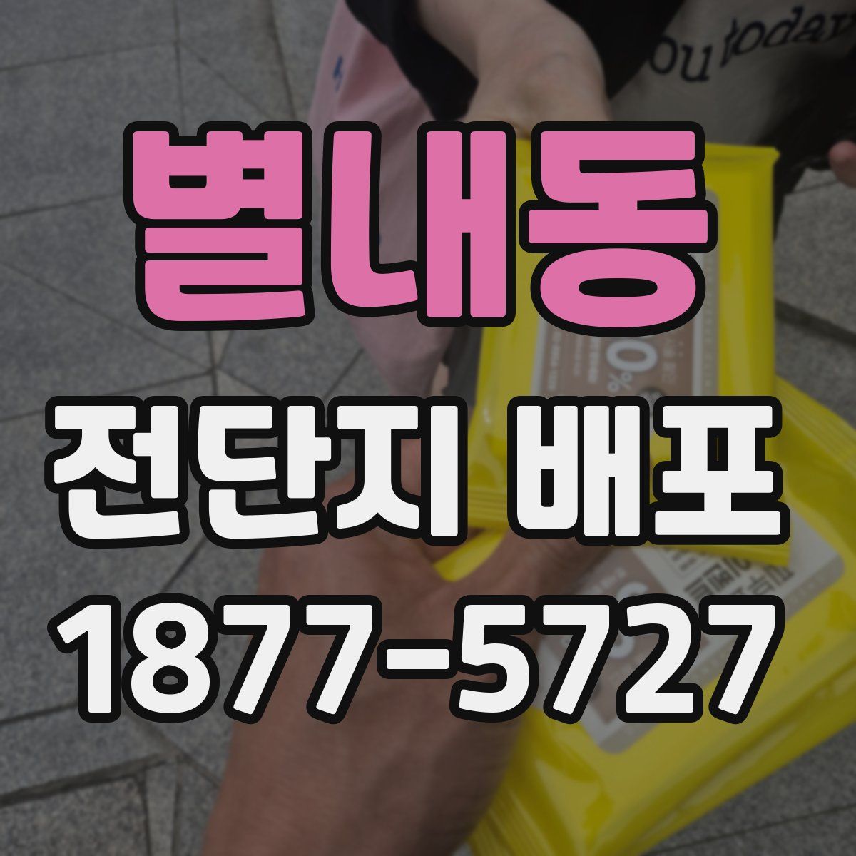 별내동 전단지 배포
