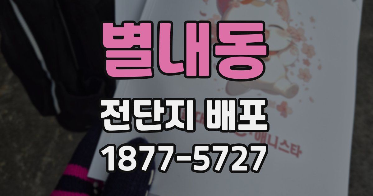 별내동 전단지 배포