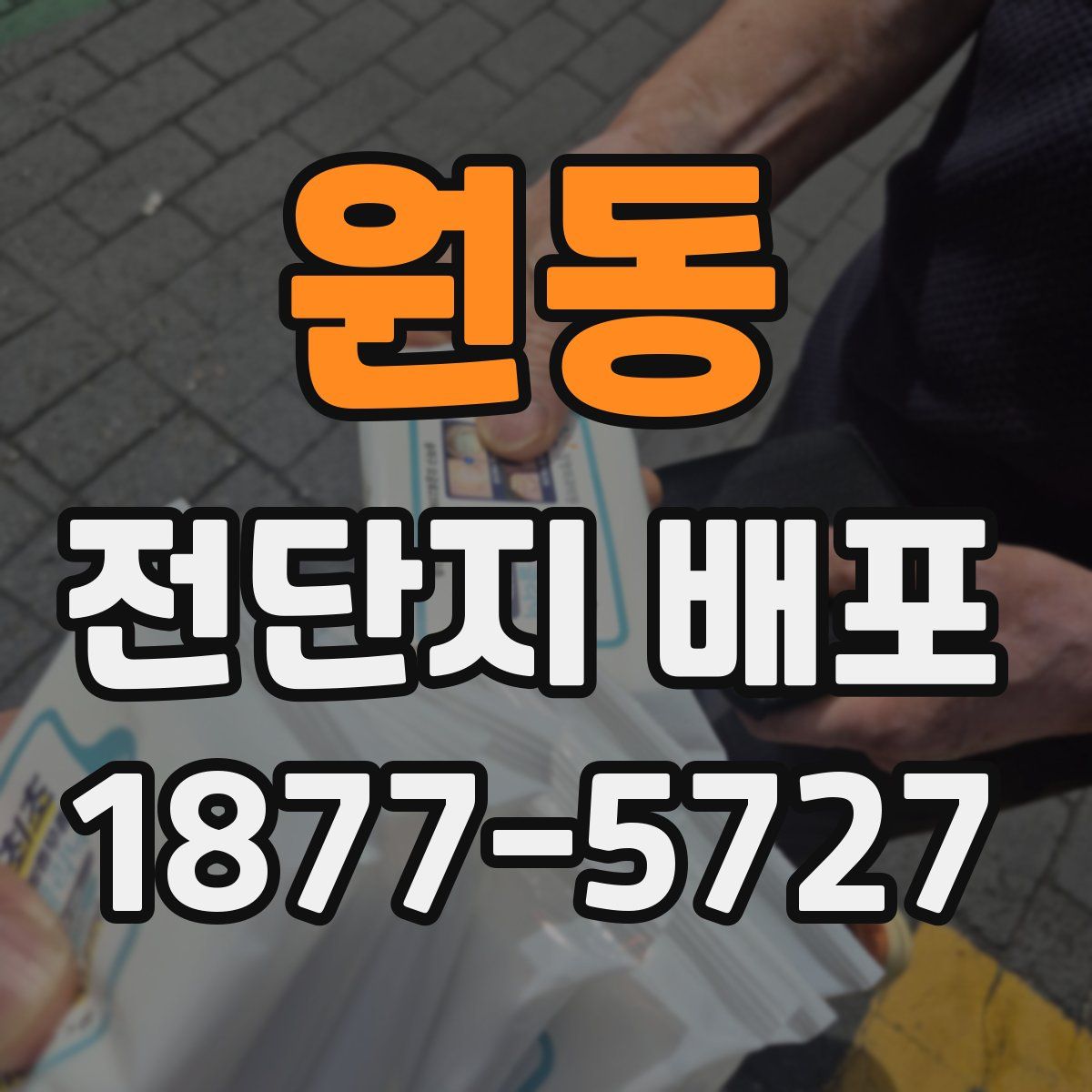 원동 전단지 배포