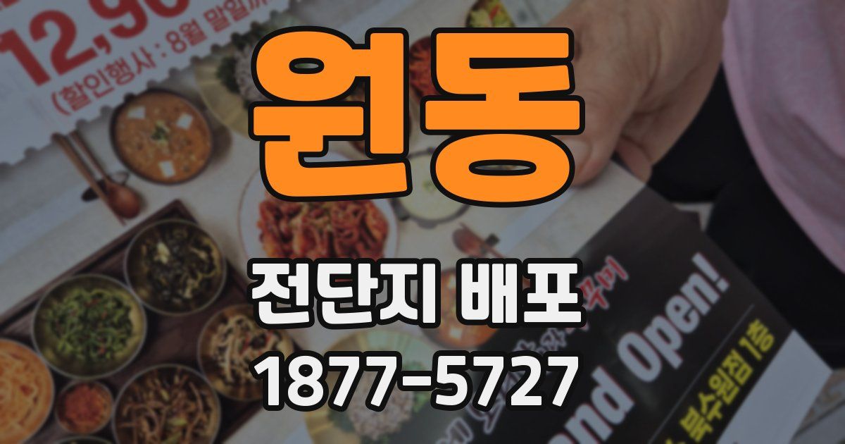 원동 전단지 배포