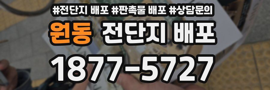 원동 전단지 배포