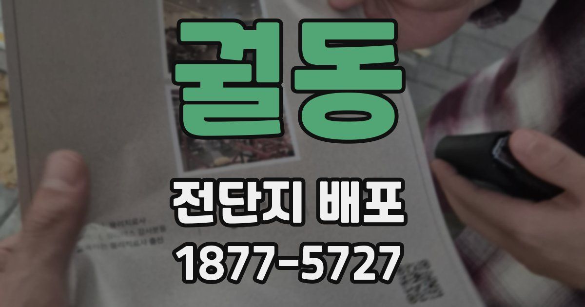 궐동 전단지 배포