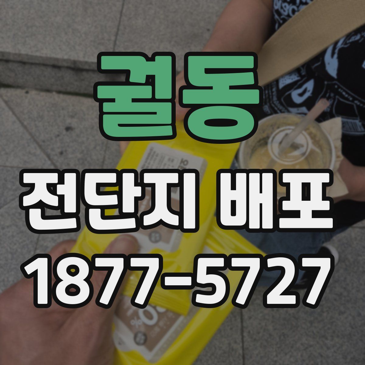 궐동 전단지 배포