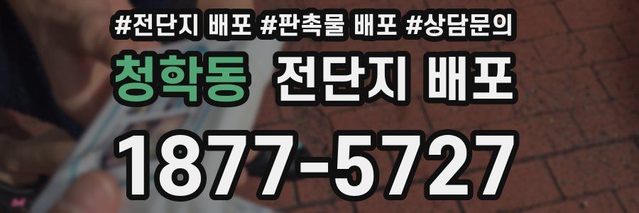 청학동 전단지 배포