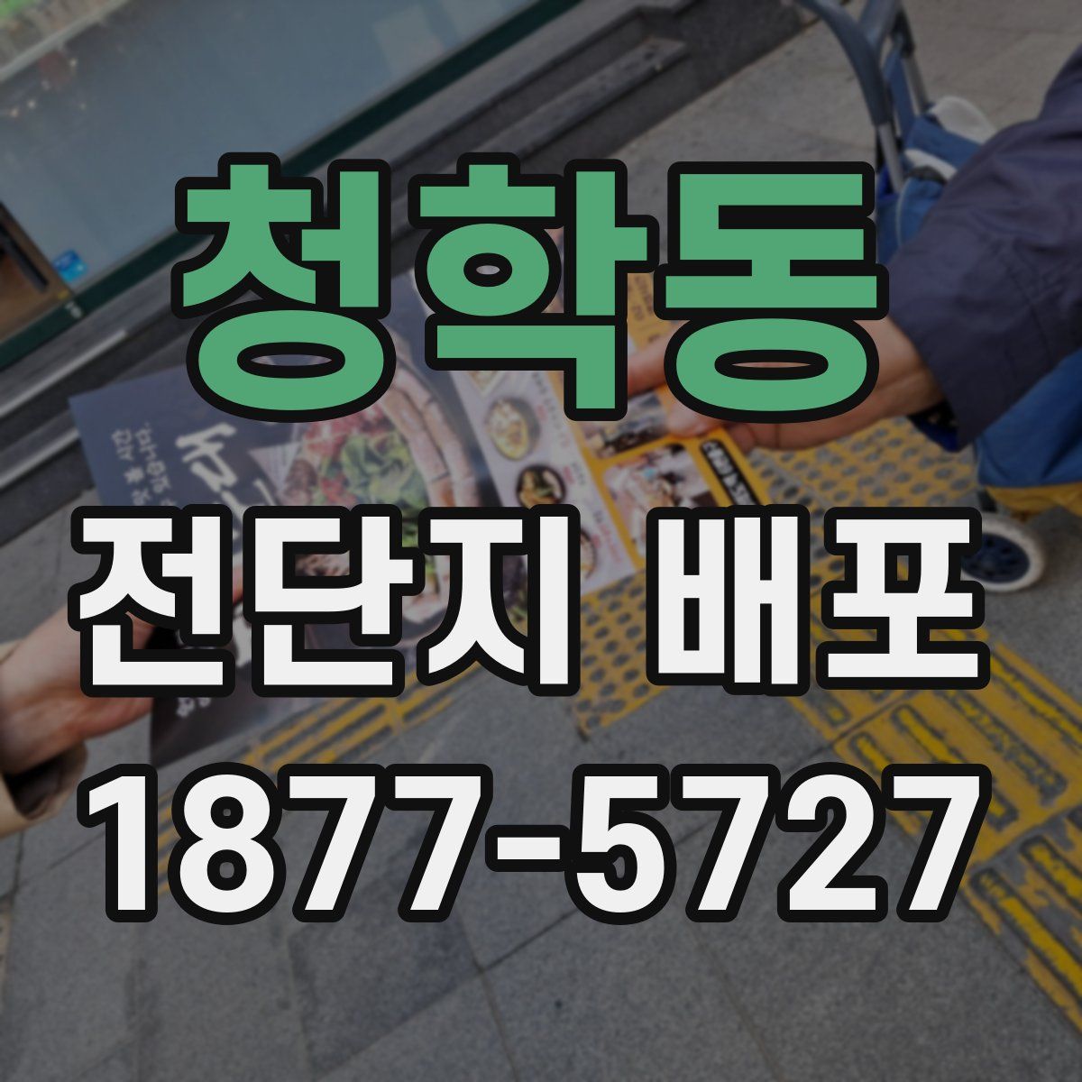 청학동 전단지 배포
