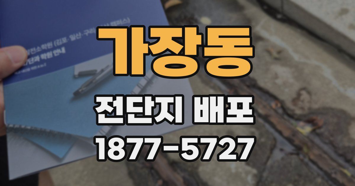 가장동 전단지 배포