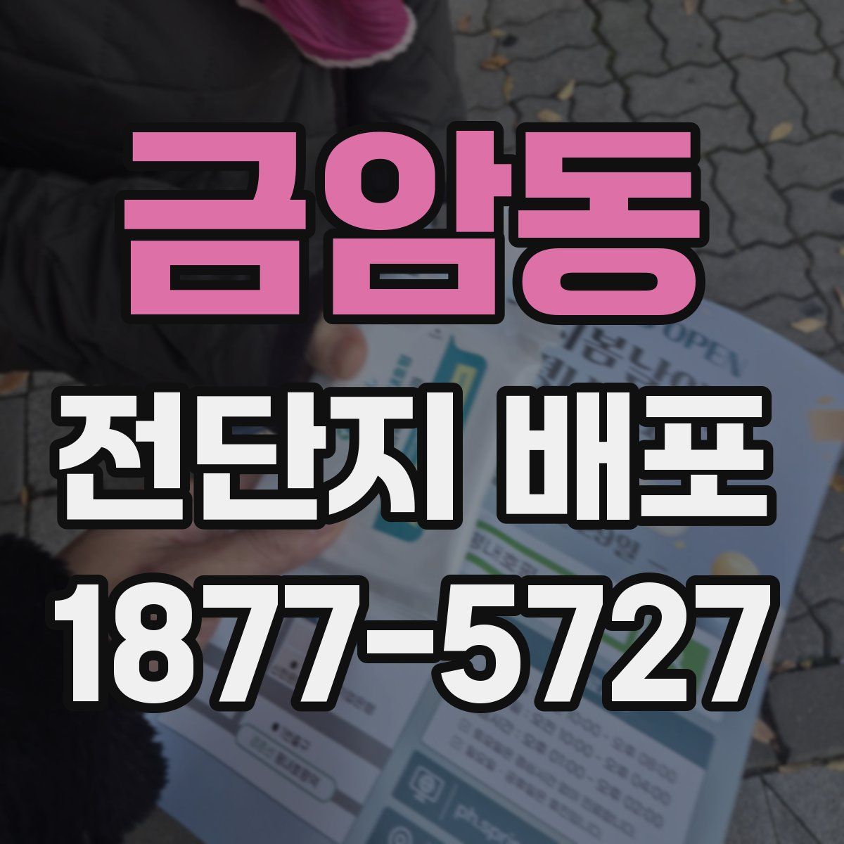 금암동 전단지 배포