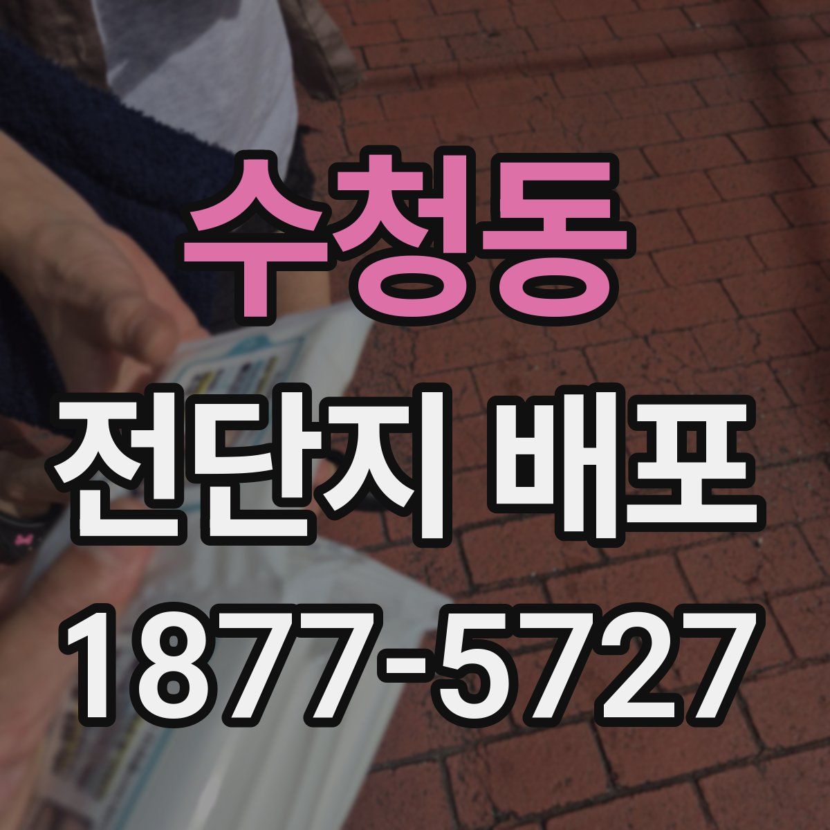 수청동 전단지 배포
