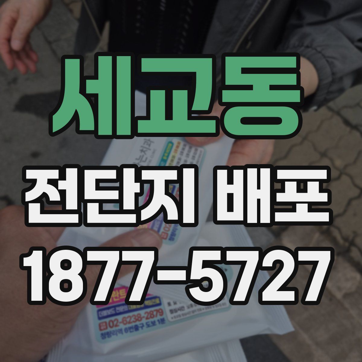 세교동 전단지 배포