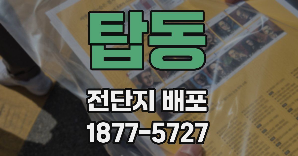탑동 전단지 배포