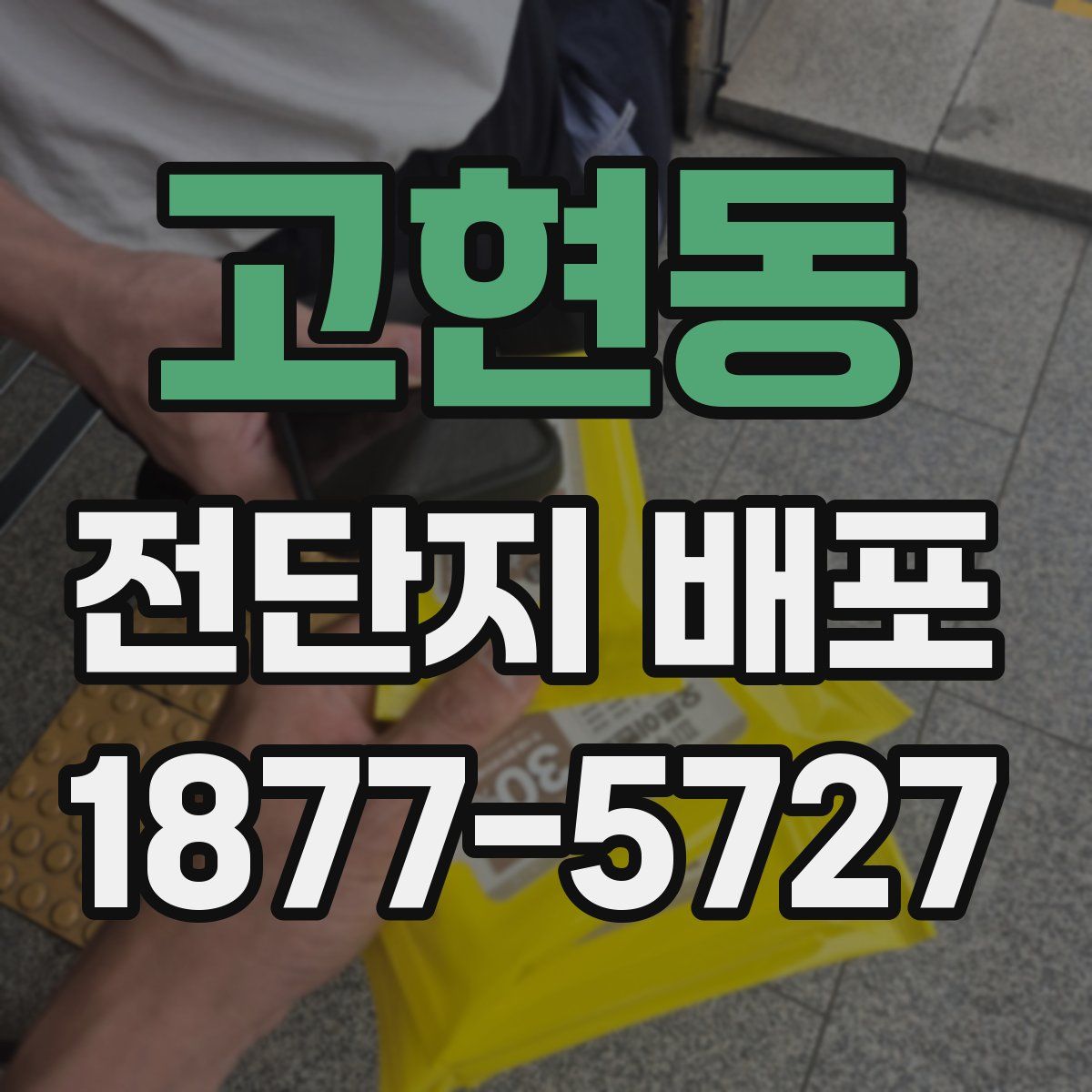 고현동 전단지 배포
