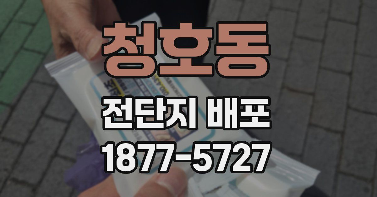 청호동 전단지 배포