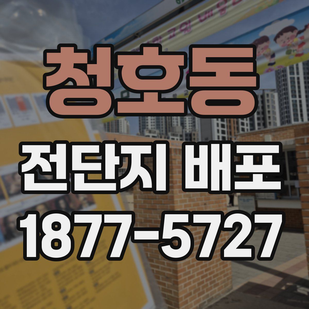 청호동 전단지 배포