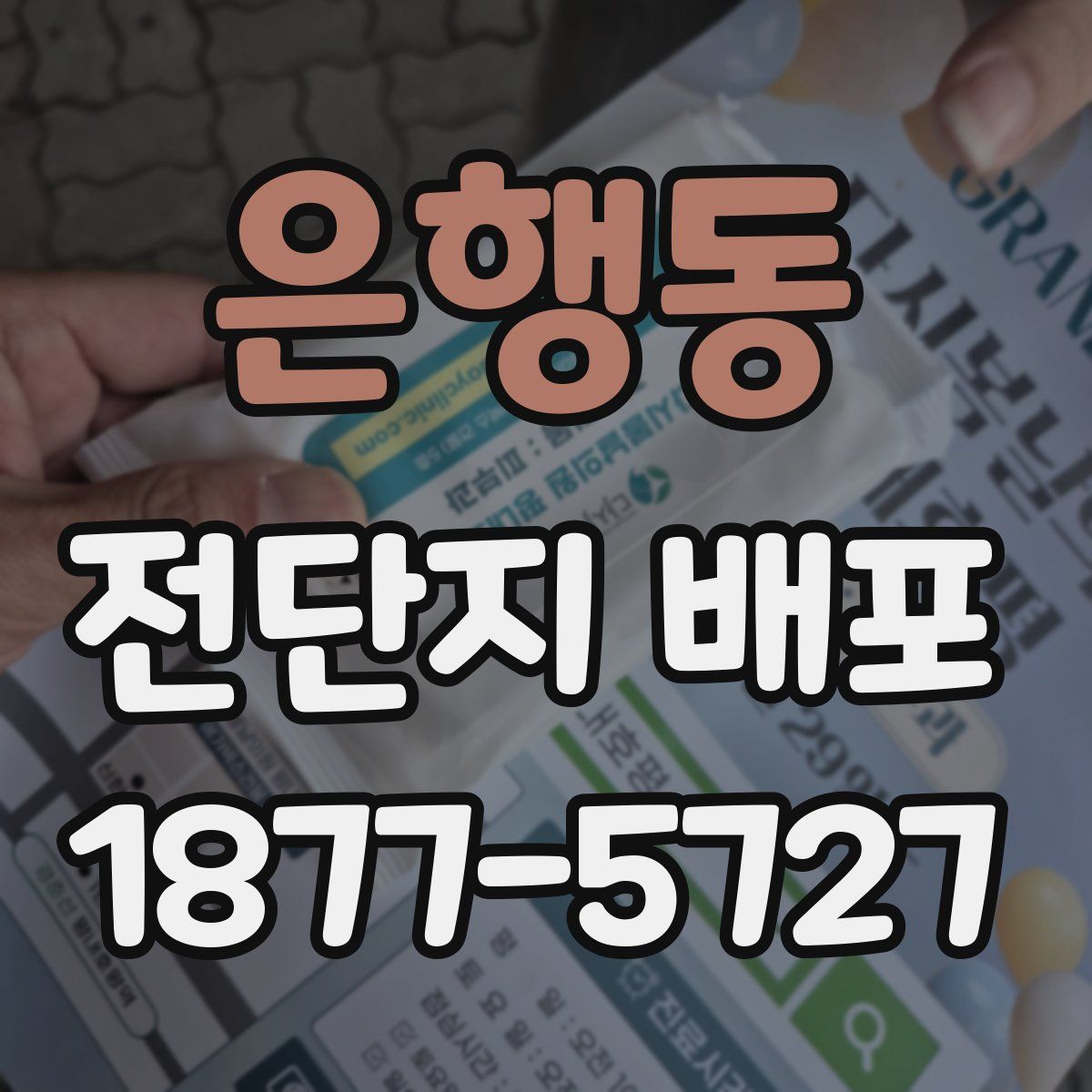 은행동 전단지 배포