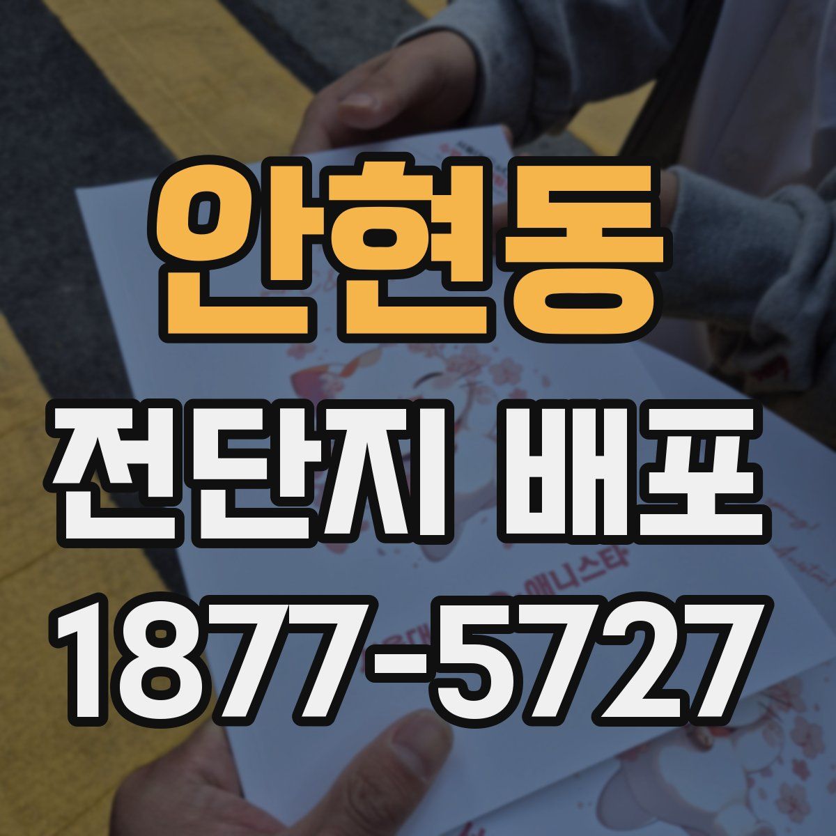 안현동 전단지 배포