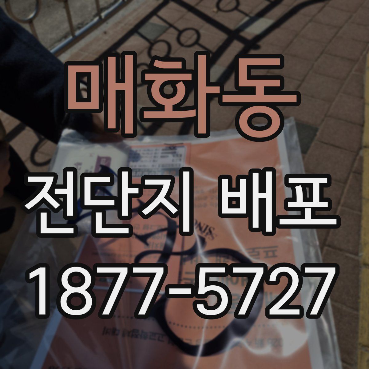 매화동 전단지 배포