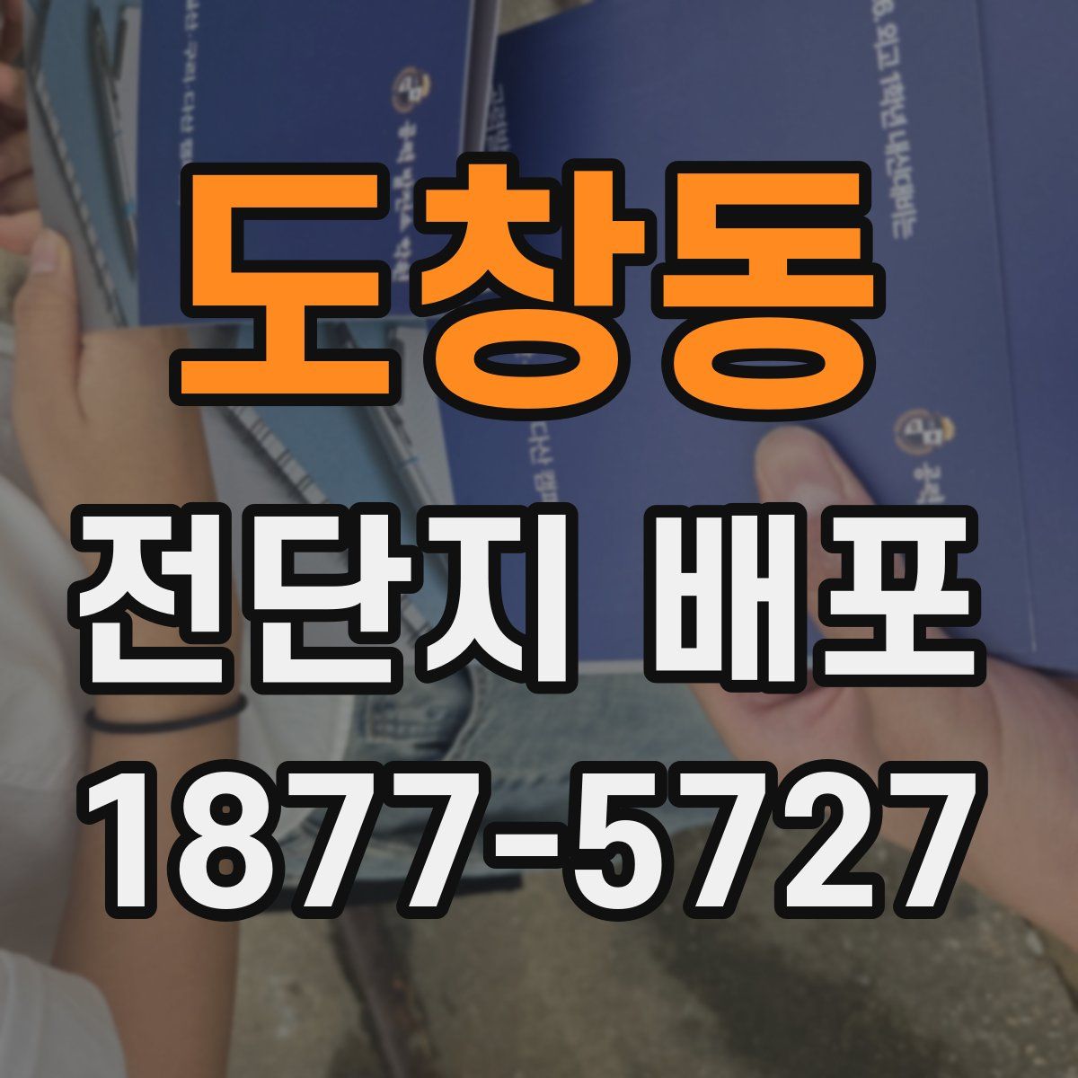도창동 전단지 배포