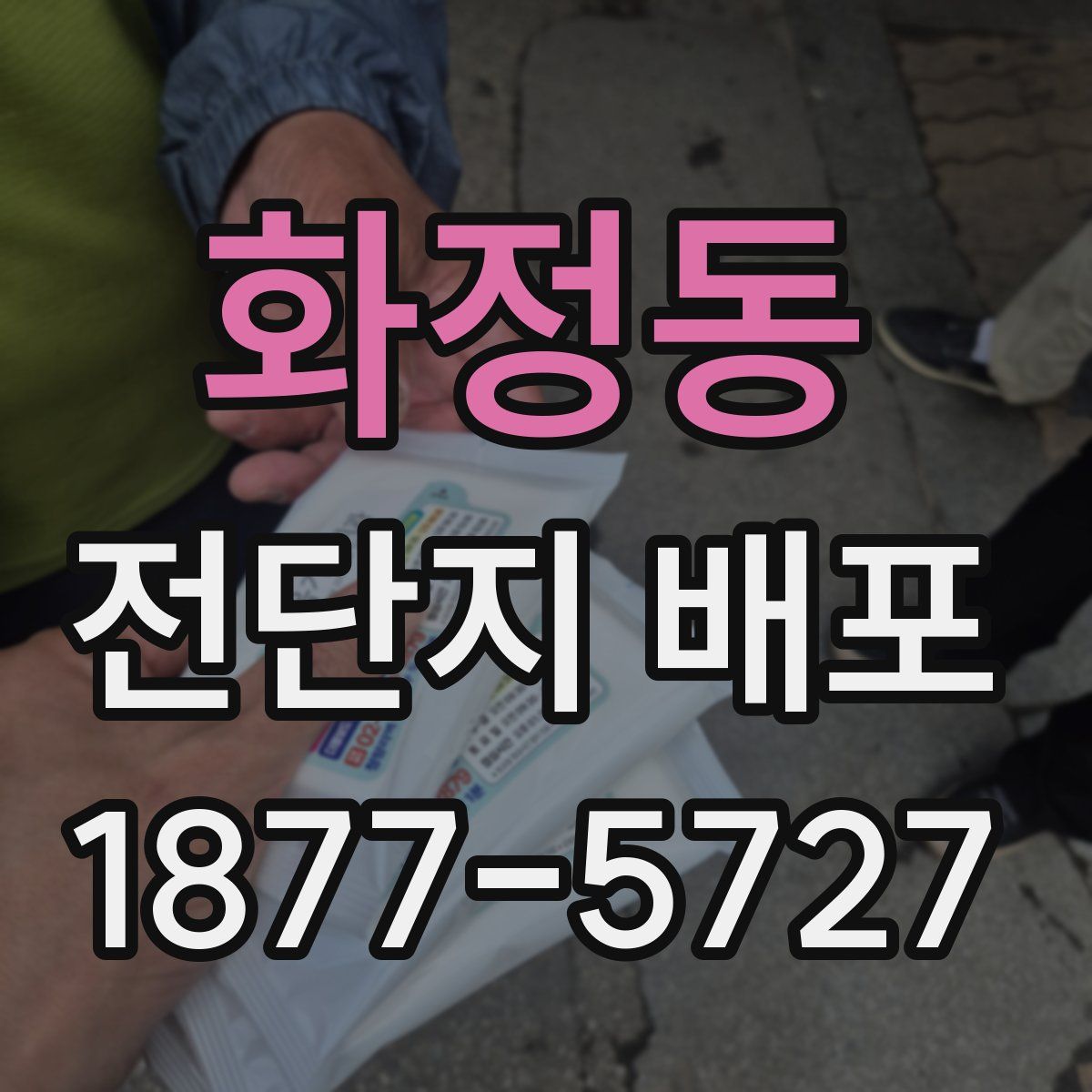 화정동 전단지 배포