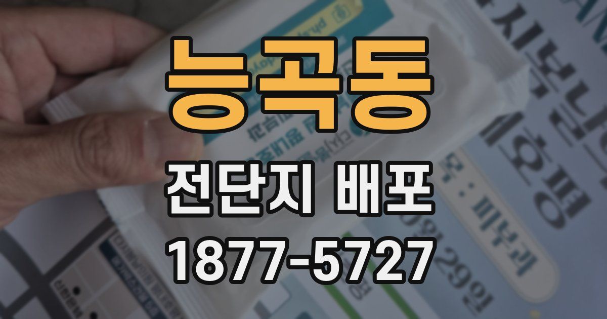 능곡동 전단지 배포