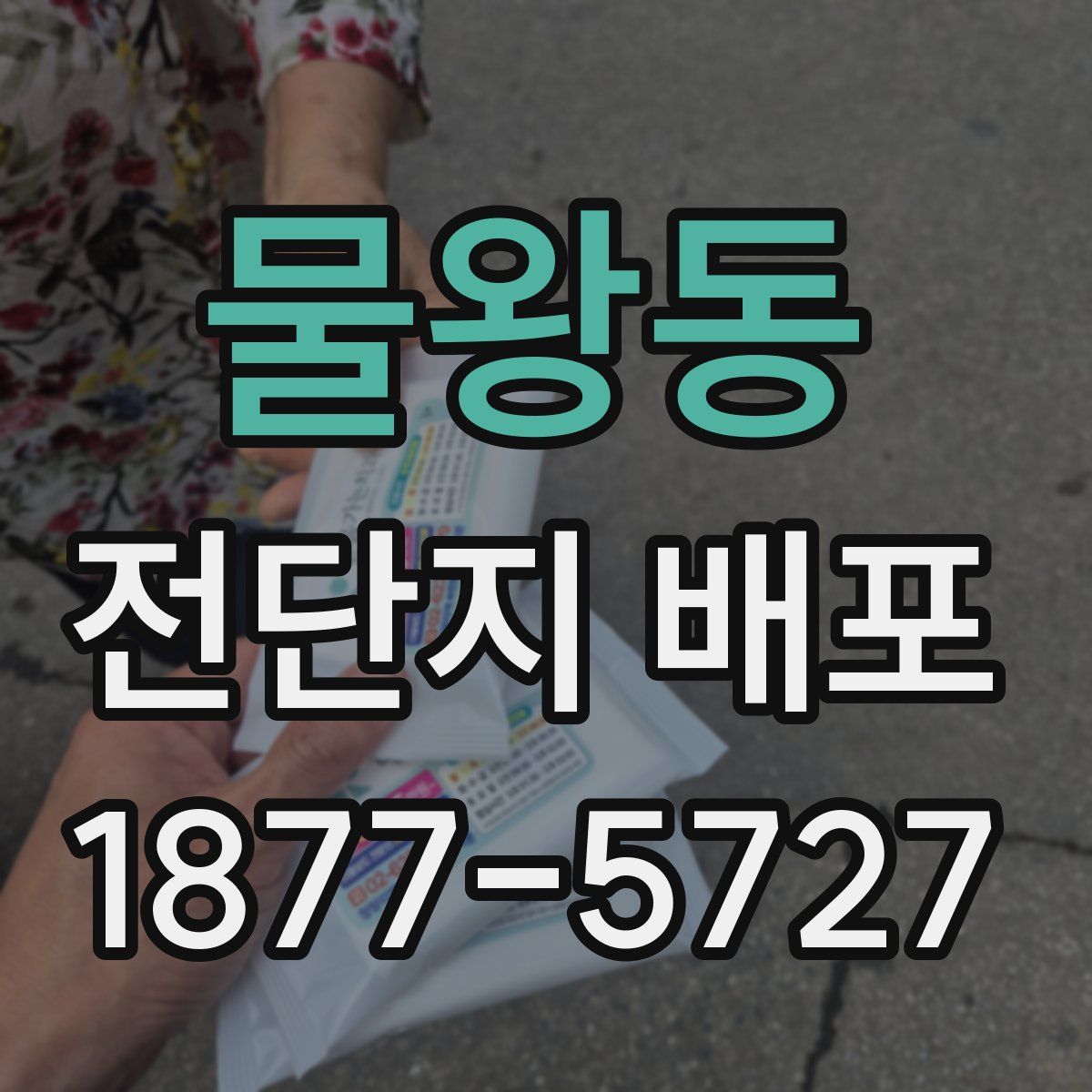 물왕동 전단지 배포