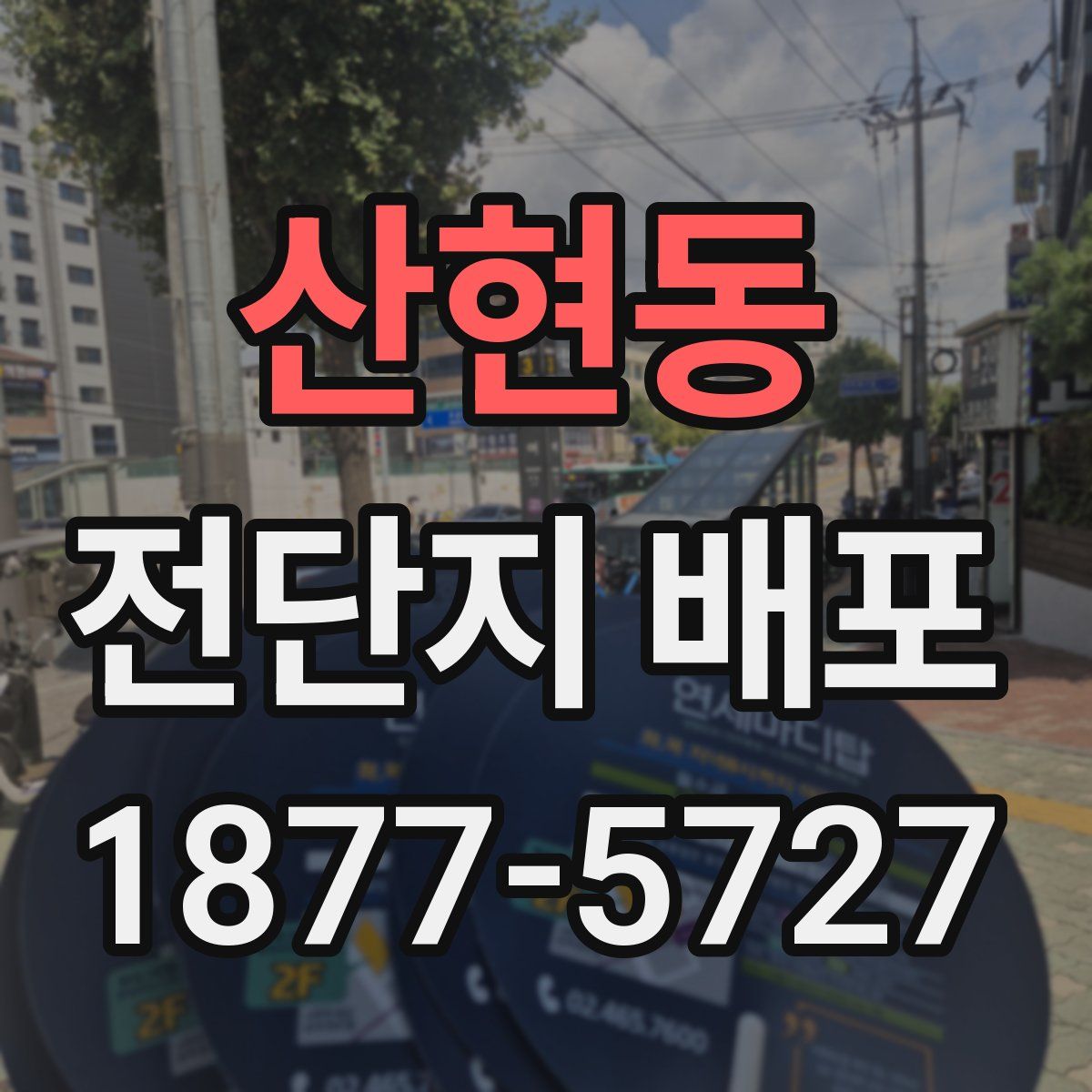 산현동 전단지 배포