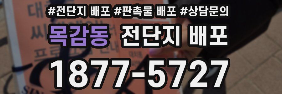 목감동 전단지 배포