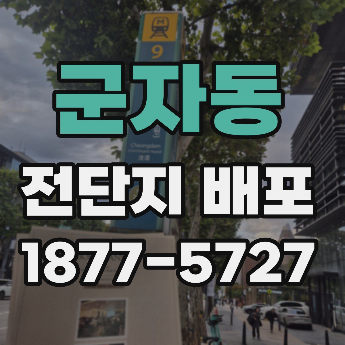 군자동 전단지 배포