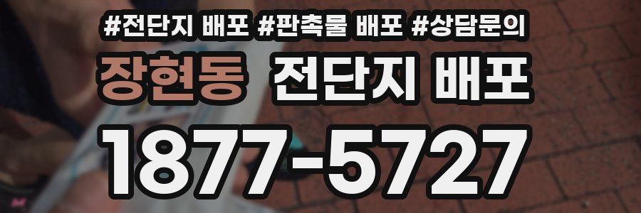 장현동 전단지 배포