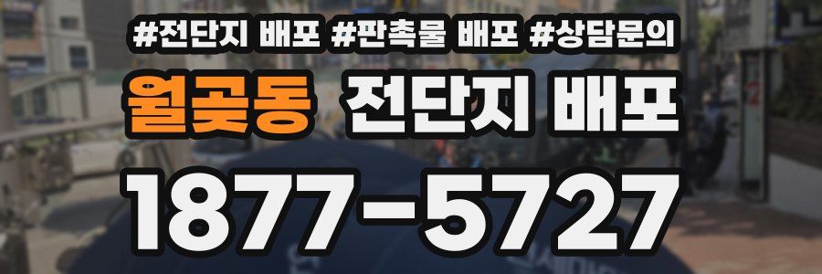 월곶동 전단지 배포