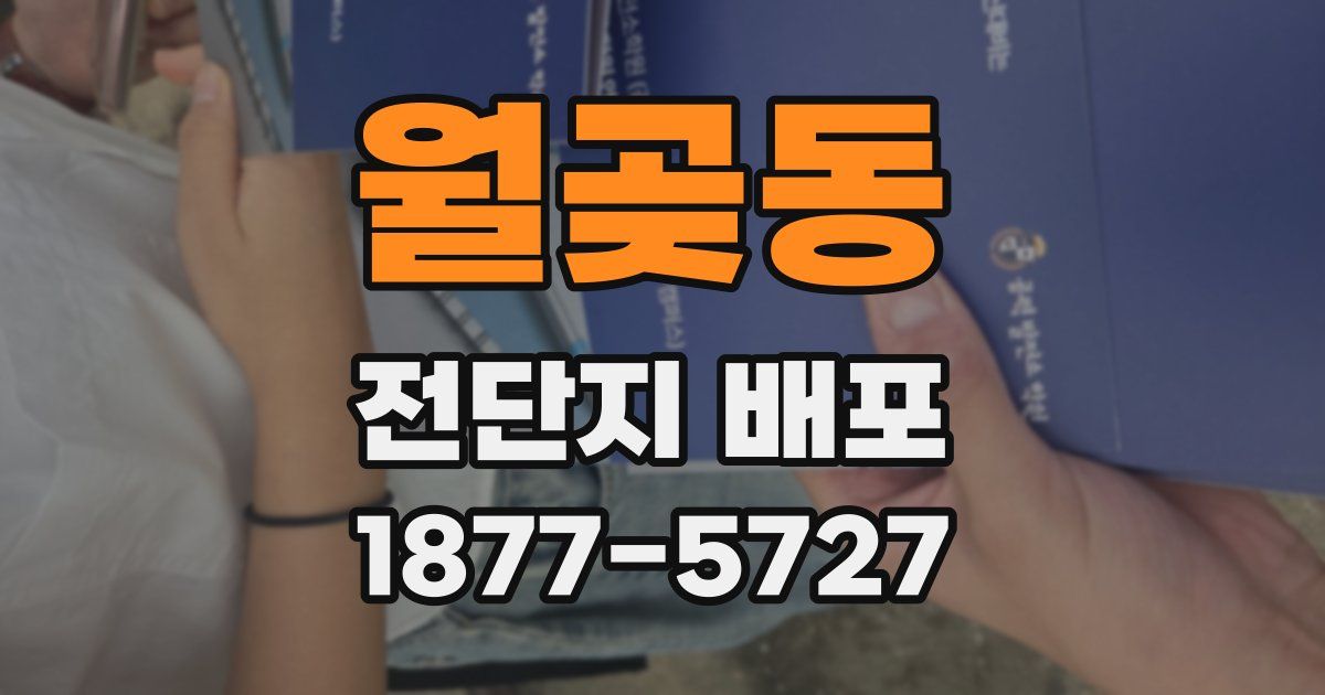 월곶동 전단지 배포