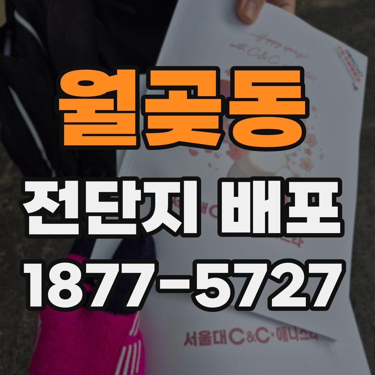 월곶동 전단지 배포