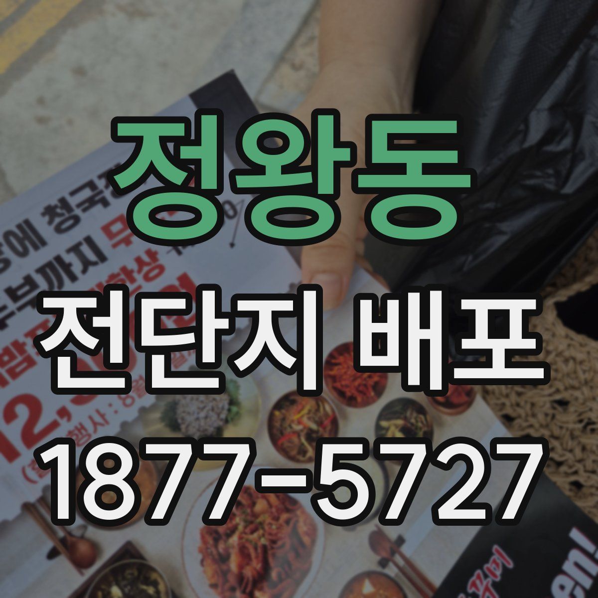 정왕동 전단지 배포