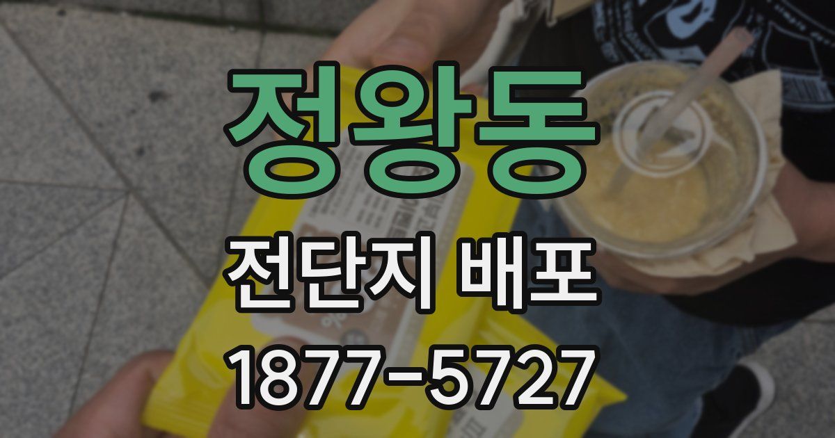 정왕동 전단지 배포