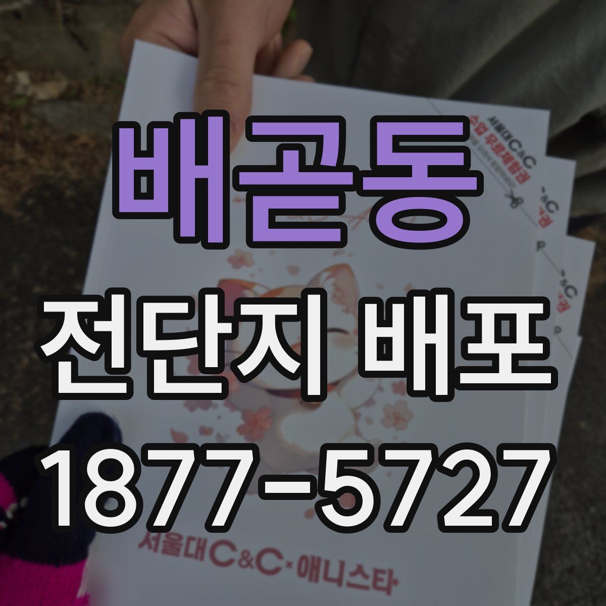 배곧동 전단지 배포