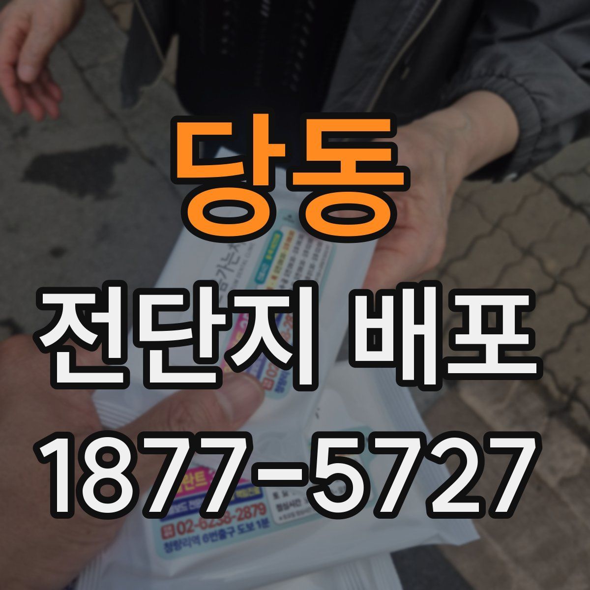 당동 전단지 배포