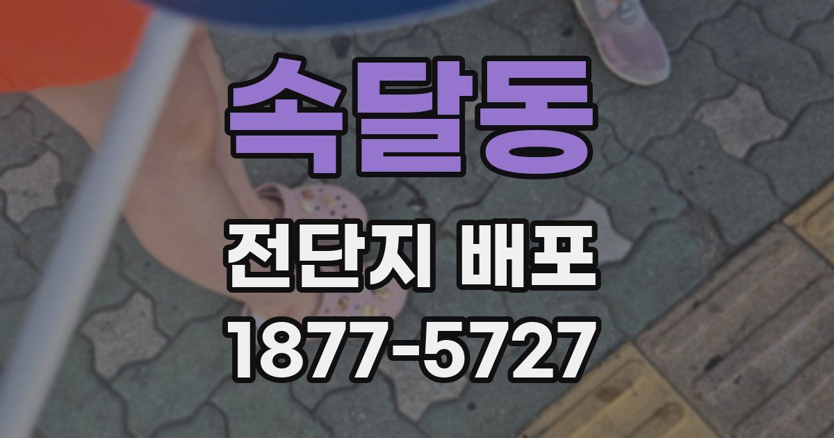 속달동 전단지 배포
