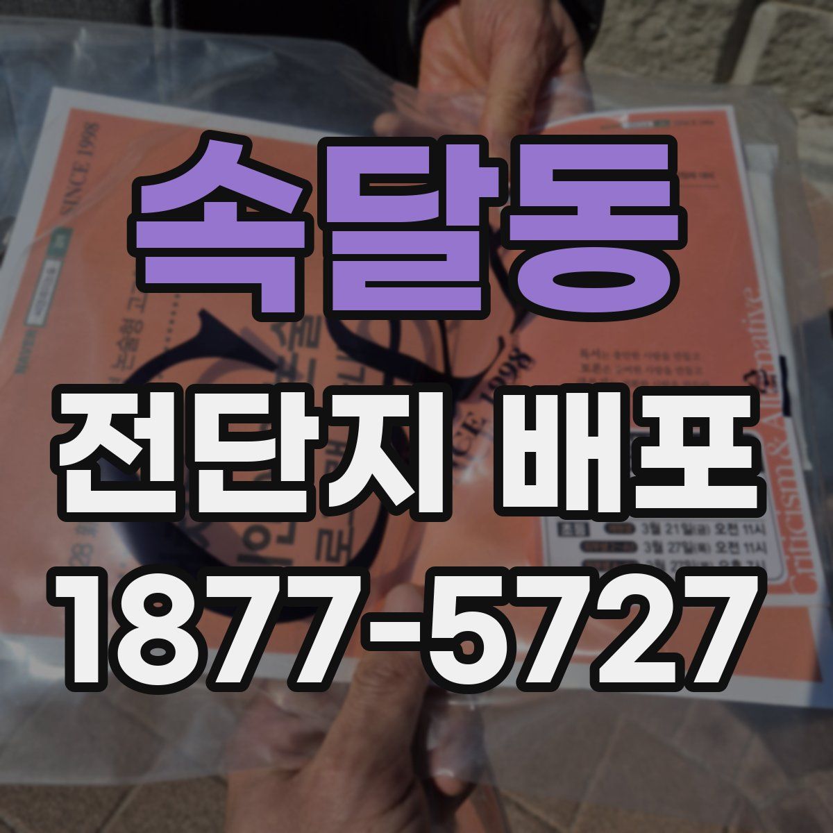 속달동 전단지 배포