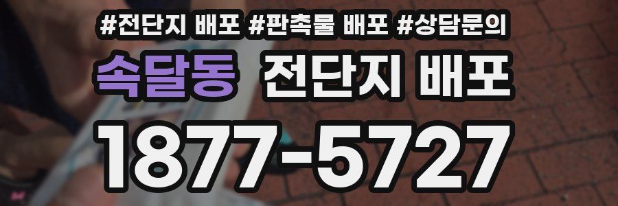 속달동 전단지 배포
