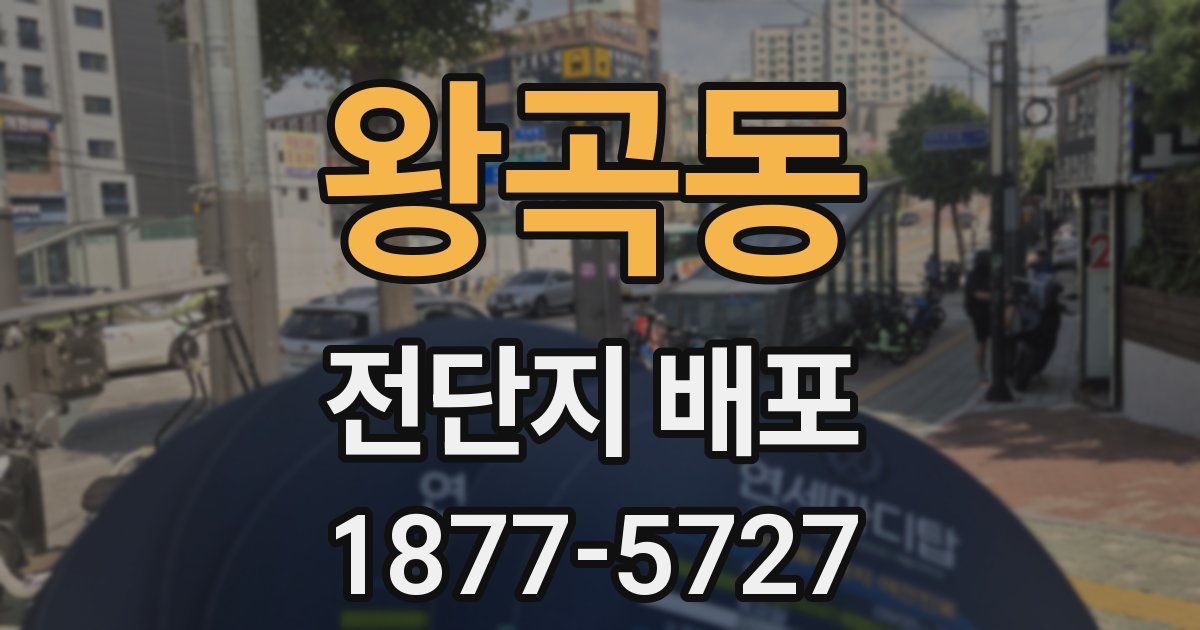 왕곡동 전단지 배포