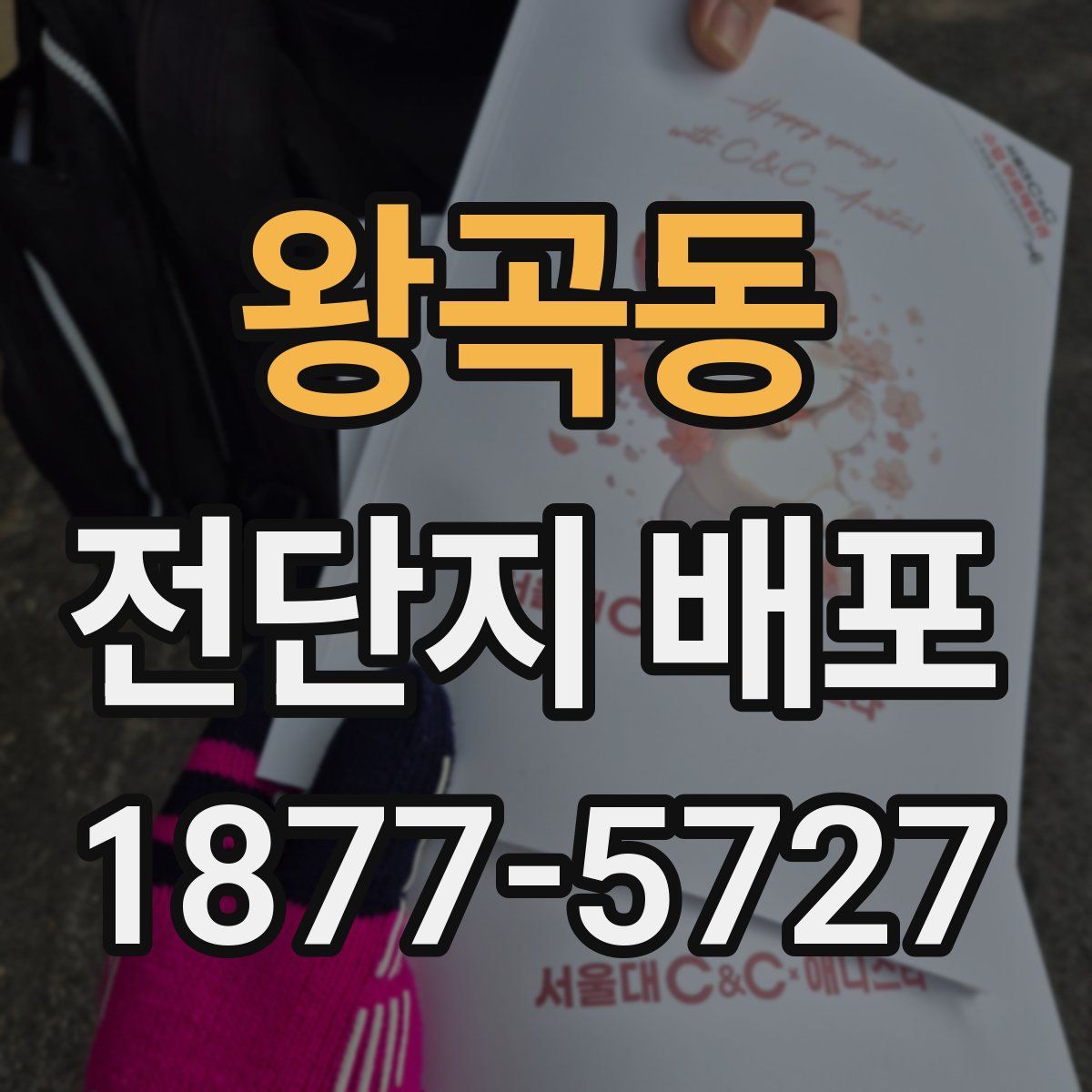 왕곡동 전단지 배포