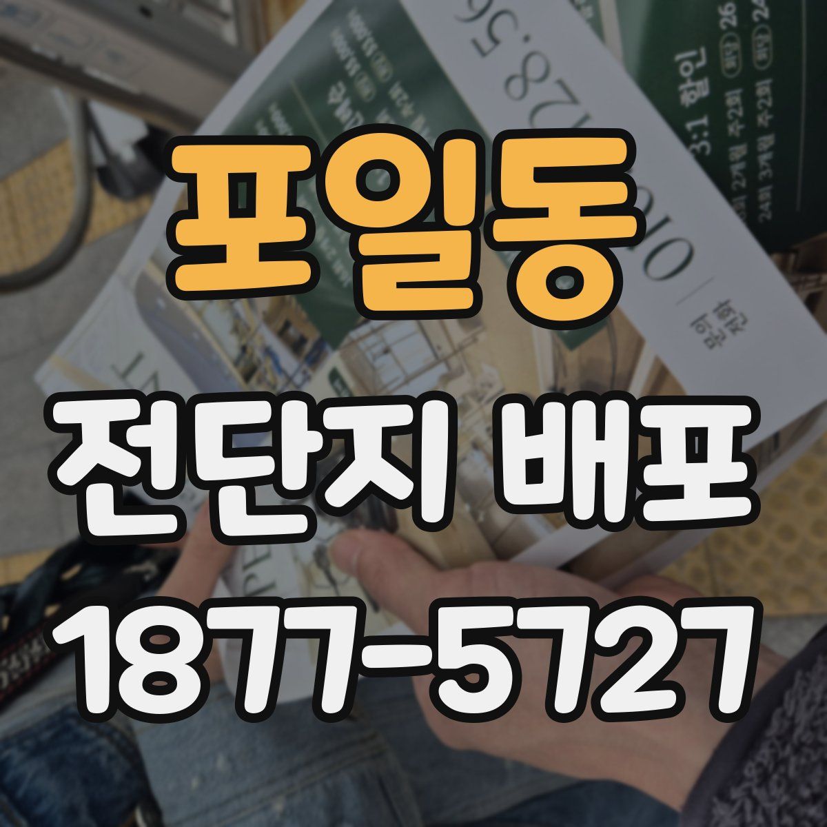 포일동 전단지 배포