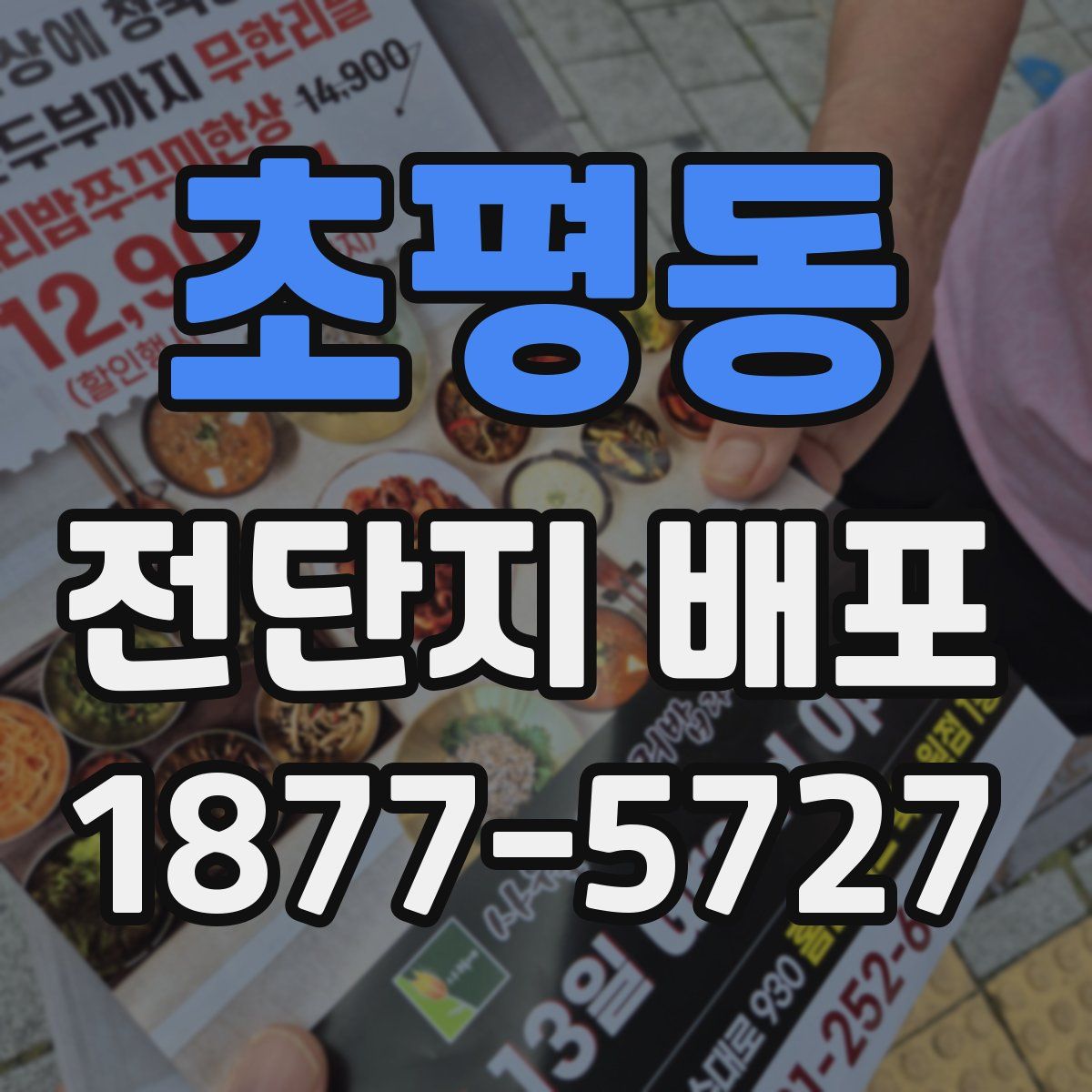 초평동 전단지 배포