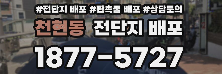 천현동 전단지 배포