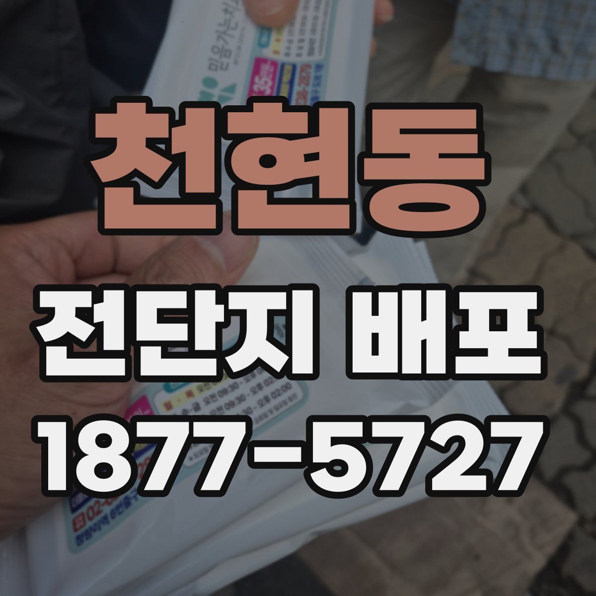 천현동 전단지 배포