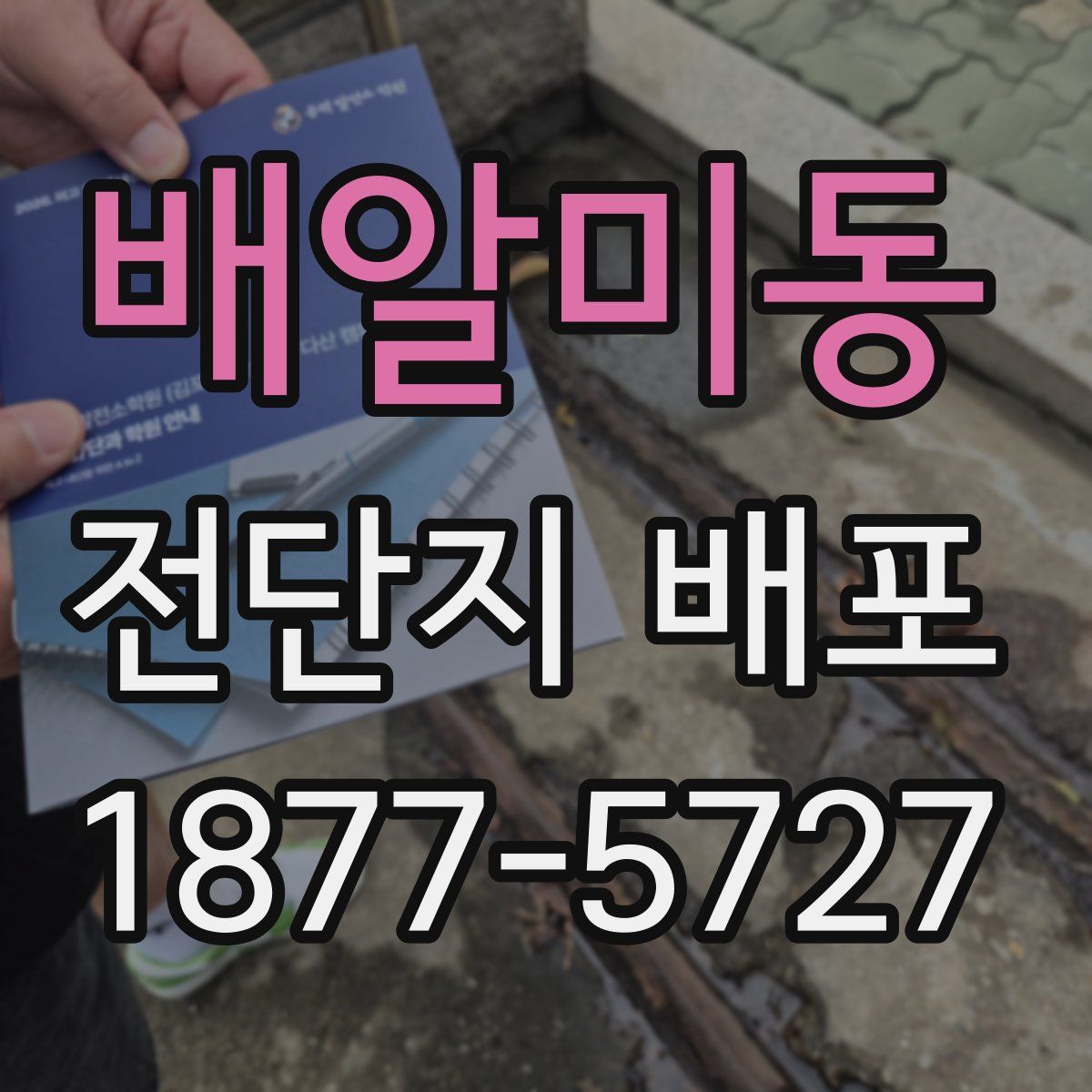 배알미동 전단지 배포